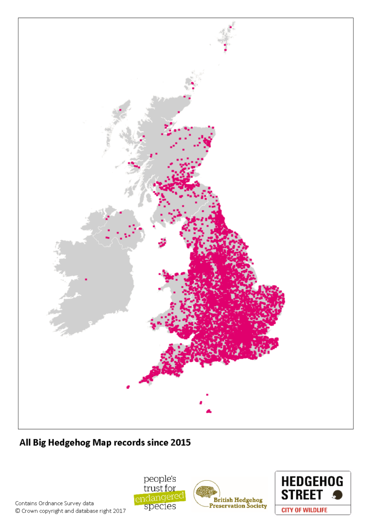 How many hedgehogs are left in Britain? - Hedgehog Street