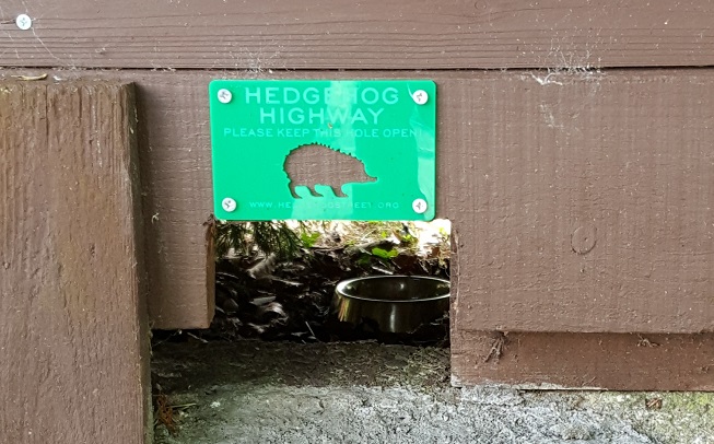 Sean Hill's superb hedgehog highway 