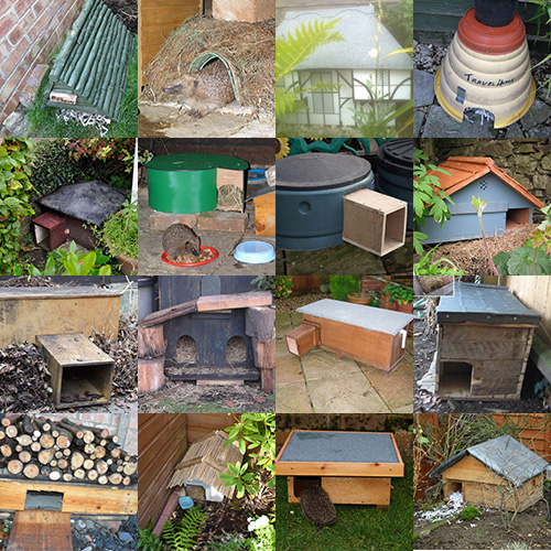 Hedgehog Homes Hedgehog Street   Photo Mosaic Hedgehog Houses 