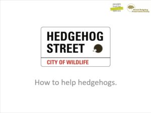 Powerpoint slides for hedgehog talk